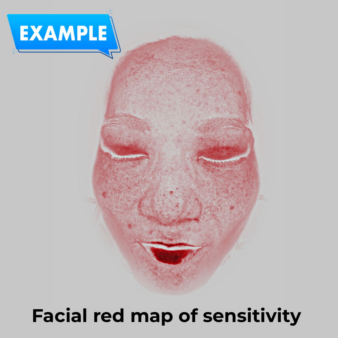 Système d'Analyse de Peau Audit-Face™