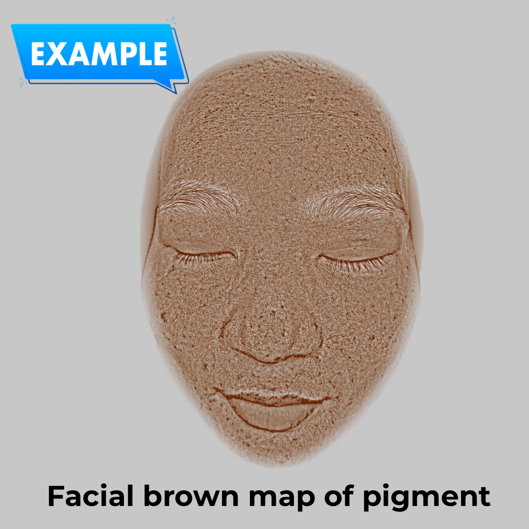 Système d'Analyse de Peau Audit-Face™