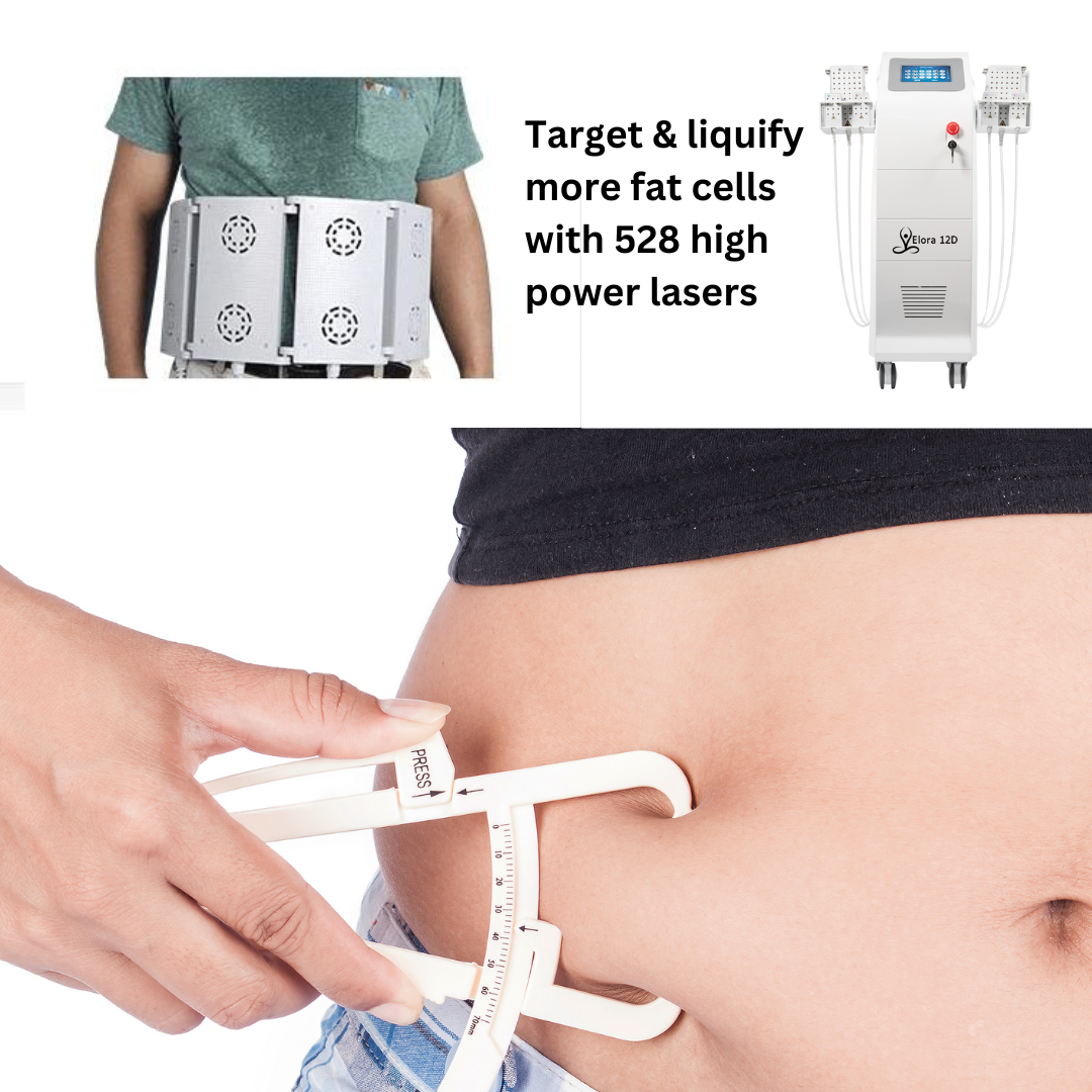 Elora 12D Diode Lipo Laser Weight Loss Machine | Instant Results Fat ...