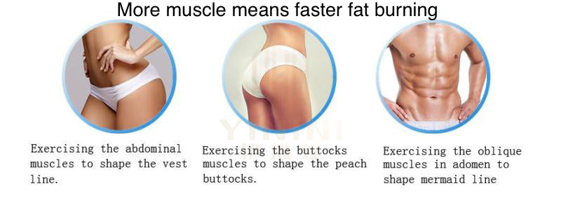 More muscle means more fat burning, waist, buttocks, fitness abs